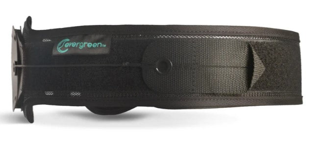 Evergreen 621 SI Belt