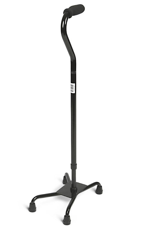Quad Cane (Case)