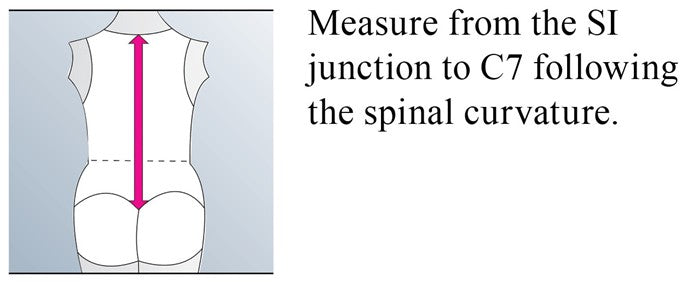 Spinomed Spine Brace